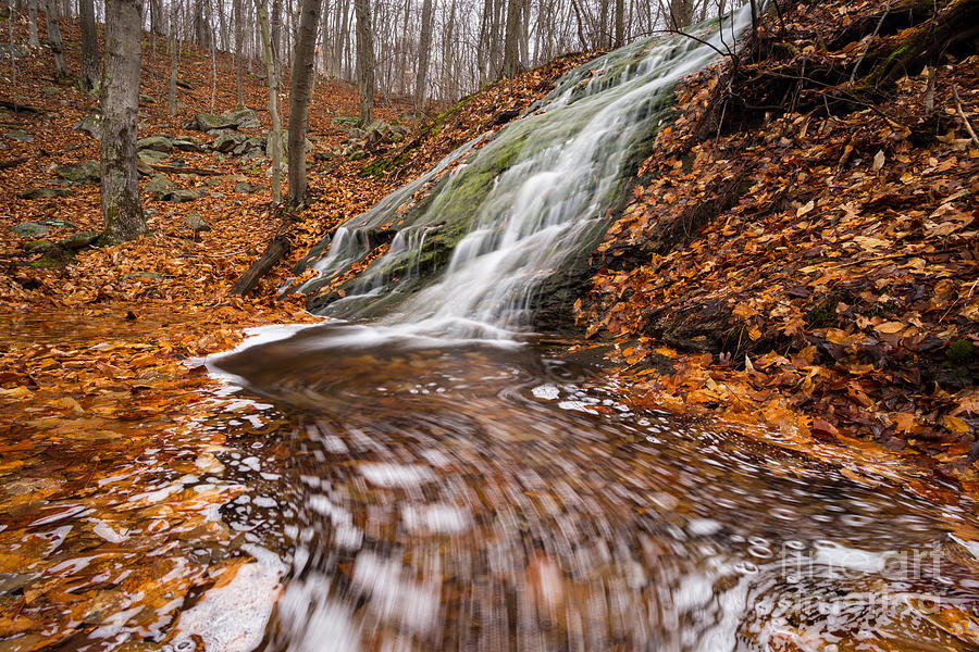 Carr Brook Emerging - Connecticut Waterfall Photograph by JG Coleman
