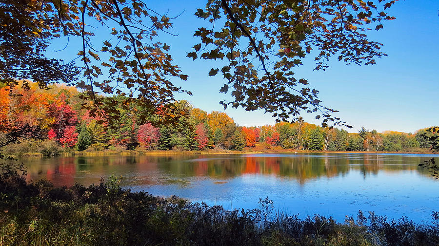 Carr Lake Photograph by Barbara A Reiter | Fine Art America