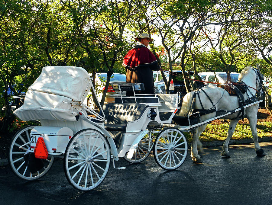 Carriage Ride 2 Photograph by Ron Kandt