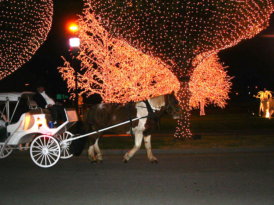 Carriage Ride at Night Photograph by Anne Cameron Cutri