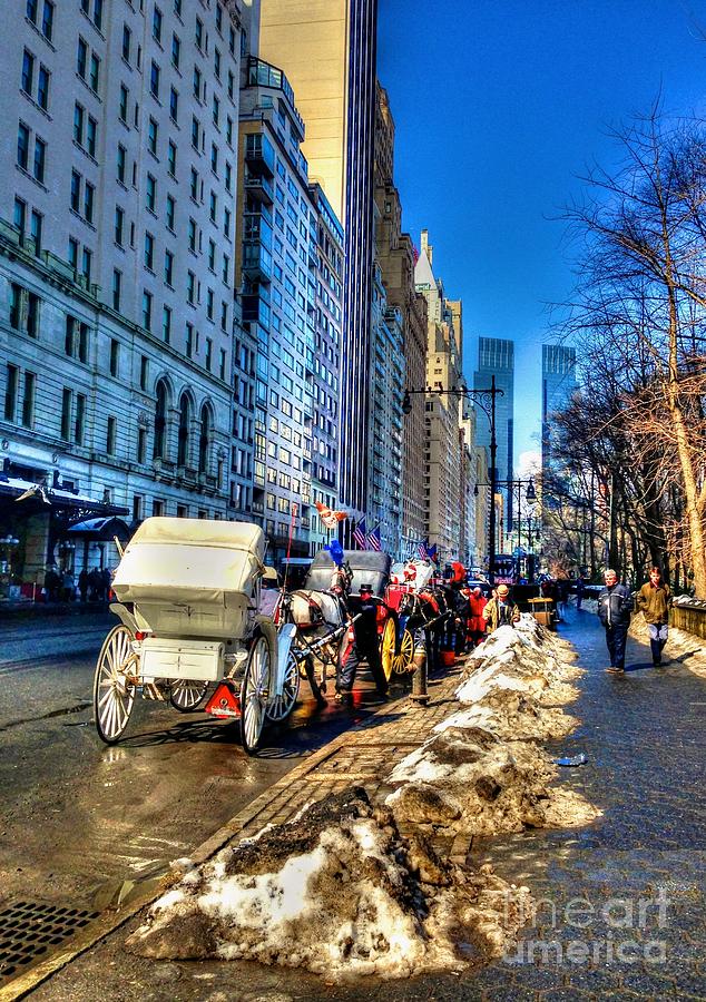 Carriage Ride Photograph by Debbi Granruth