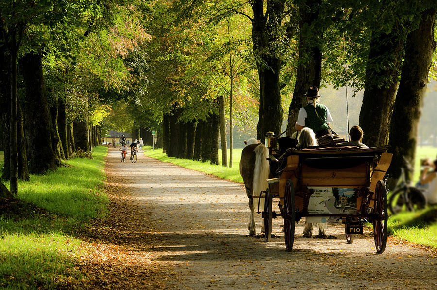 Carriage ride in Hellbrunn Photograph by Wolfgang Stocker