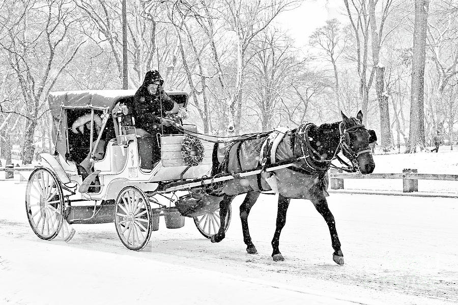 Carriage Ride in Snowy Central Park Photograph by Regina Geoghan - Pixels