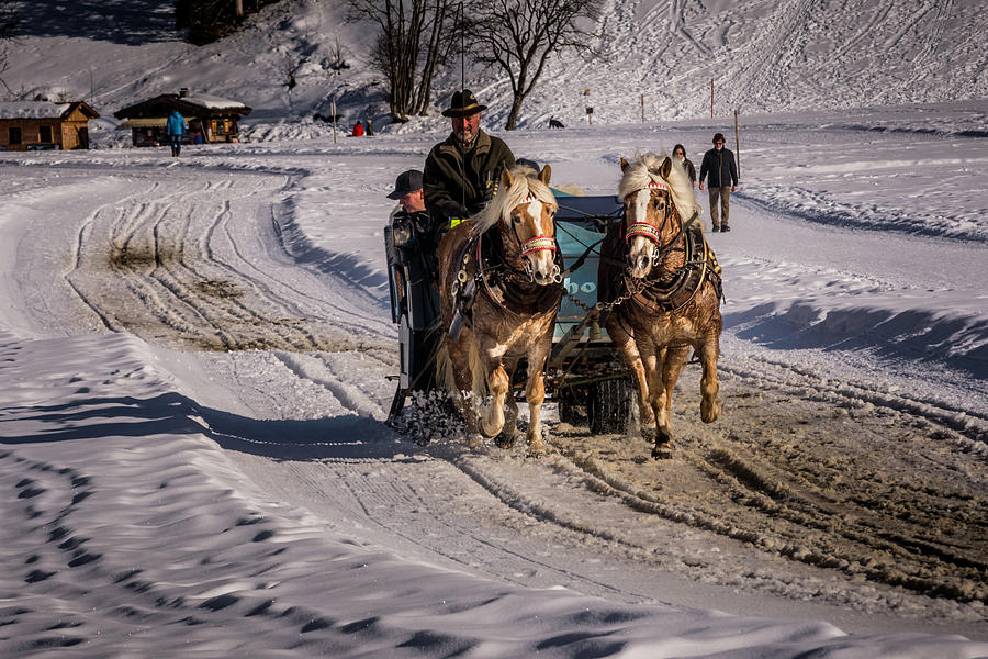 Carriage Ride in Winter Photograph by Wolfgang Stocker