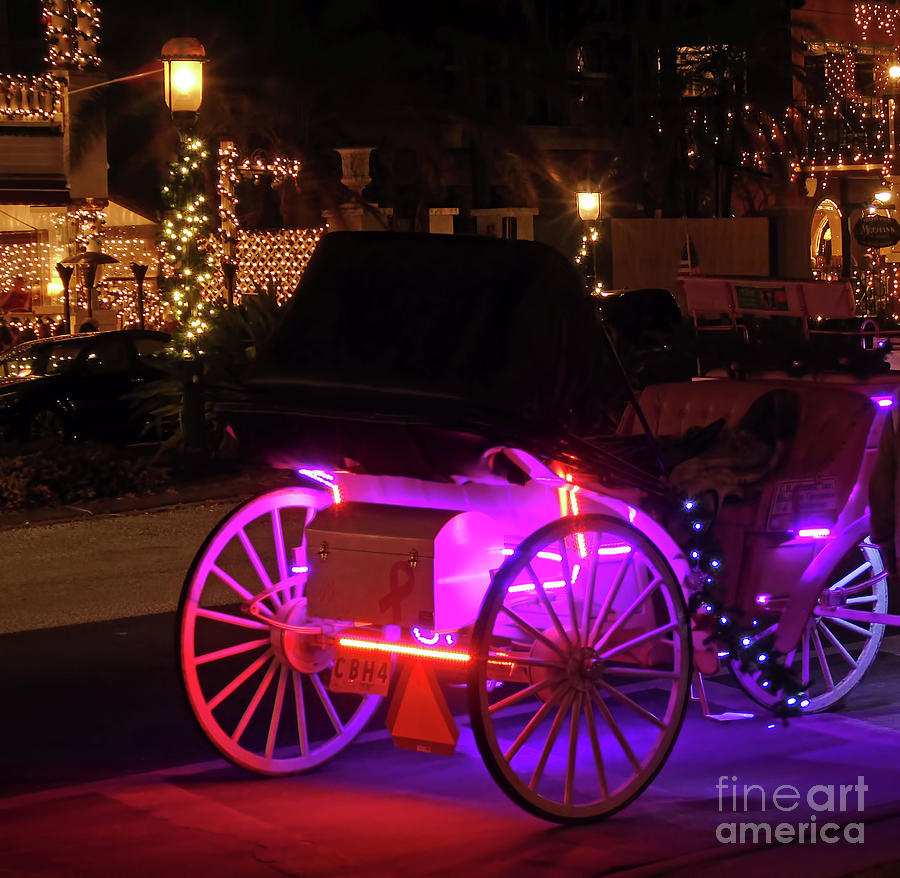 Carriage Ride Night Of Lights Photograph by D Hackett