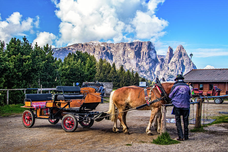 Carriage Rides in Alpe di Siusi Photograph by Carolyn Derstine