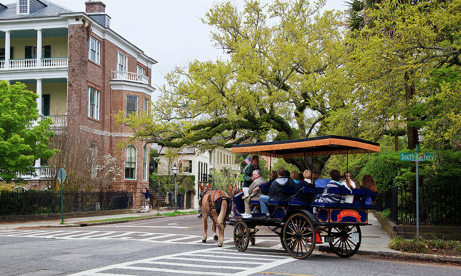 Carriage Rides Photograph