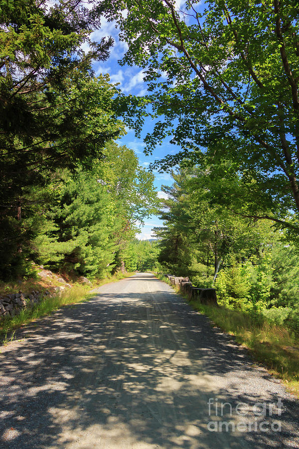 Carriage Road of Acadia National Park Photograph by Elizabeth Dow