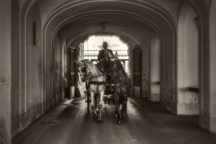 Carriage under the arcade Photograph by Roberto Pagani