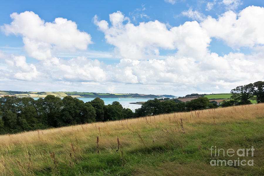 Carrick Roads From Greatwood Photograph by Terri Waters
