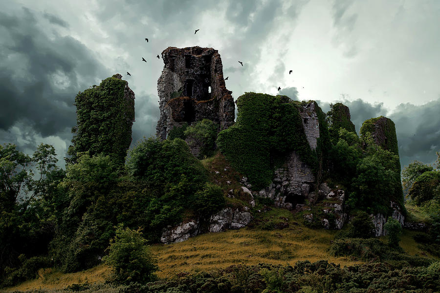 Carrigogunnell Castle  Photograph by Jaroslaw Blaminsky