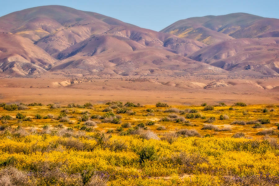 Carrizo Plain and Two Hills Photograph by Marc Crumpler