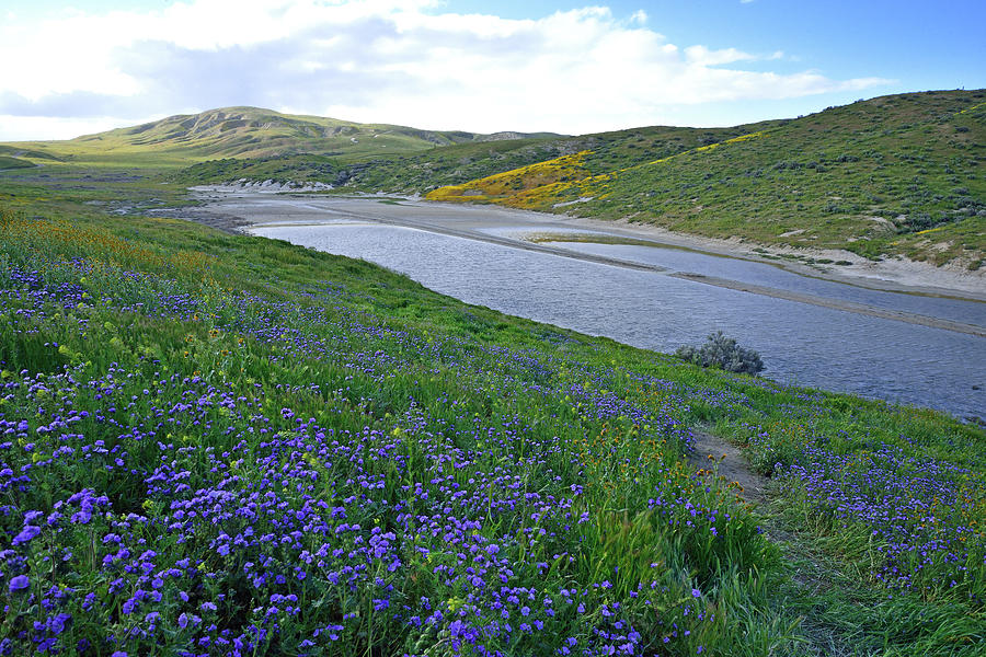  Carrizo Pond and Wildflowers Photograph by Kathy Yates