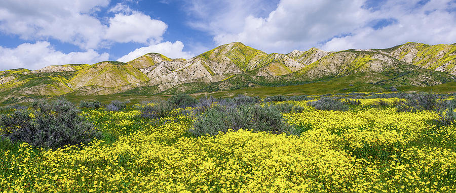 Carrizo Spring by Bjorn Burton Carrizo Spring by Bjorn Burton