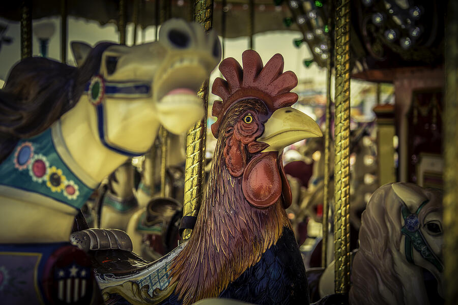 Rooster Photograph - Carrosul Rooster ride by Garry Gay
