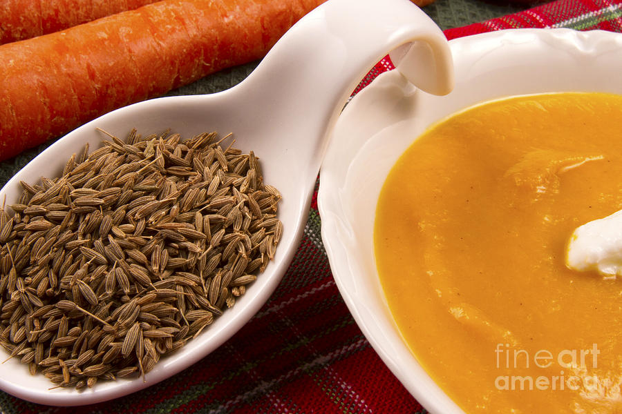 Carrot And Cumin Soup Photograph By Karen Foley 2545