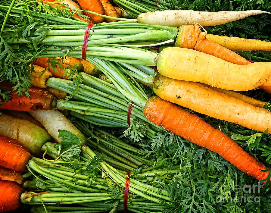 Carrot Medley Bunches Photograph by Dee Flouton
