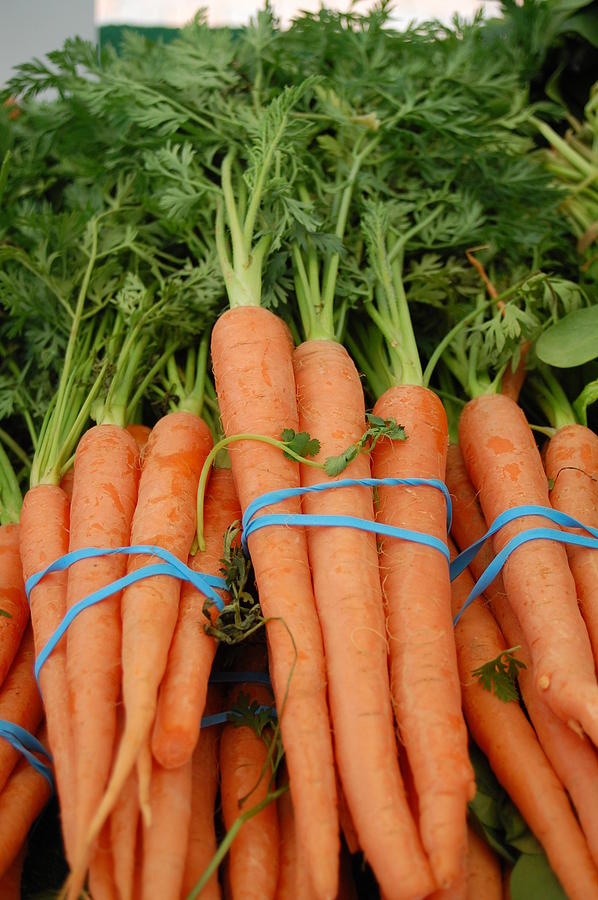 Carrots Photograph by Amy Fose