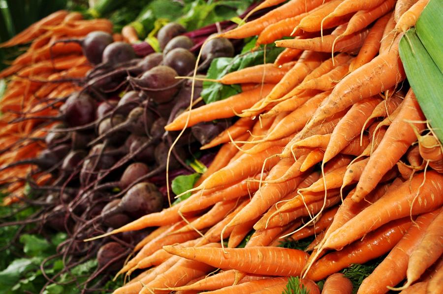Vegetable Photograph - Carrots and Beets by Cathie Tyler