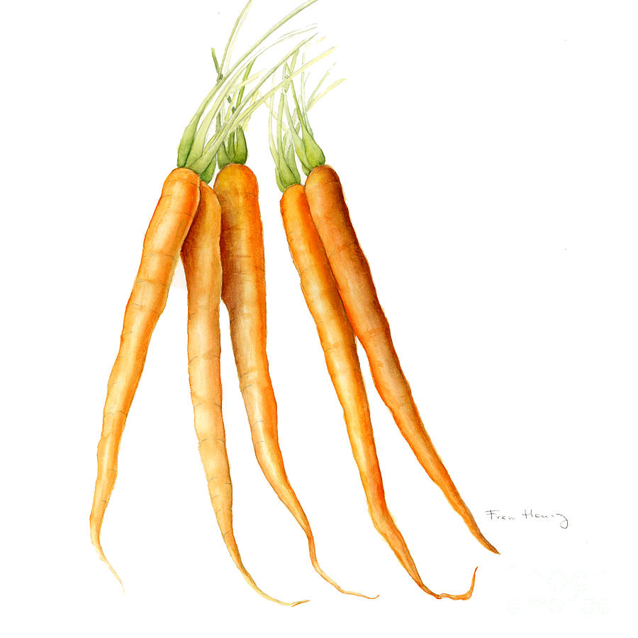 Vegetable Painting - Carrots by Fran Henig