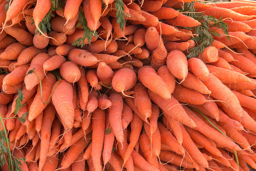 Carrots Photograph by Jurgen Lorenzen