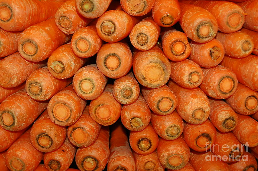 Carrots Photograph by Mia Alexander
