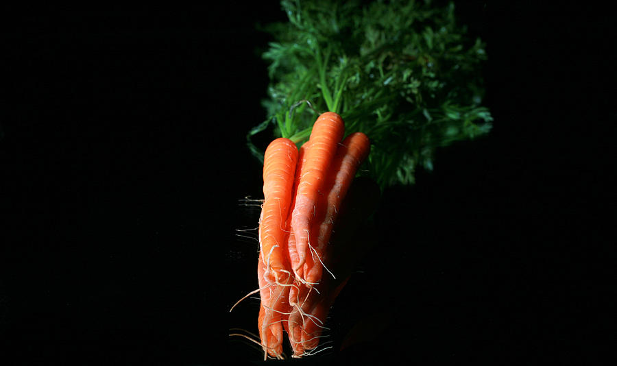 Carrots Photograph