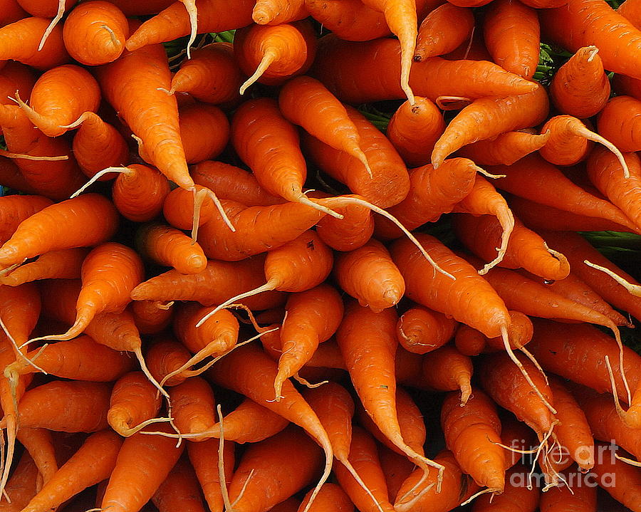 Carrots Photograph by Noa Yerushalmi