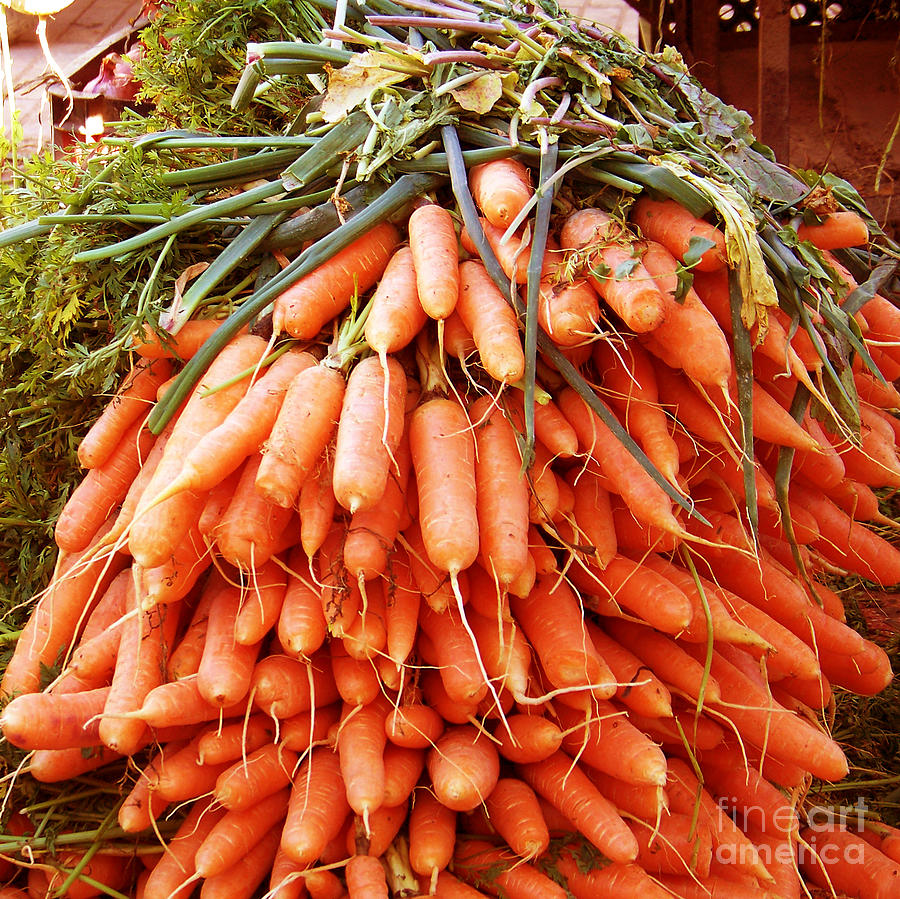 Carrots Photograph by Susan Lafleur