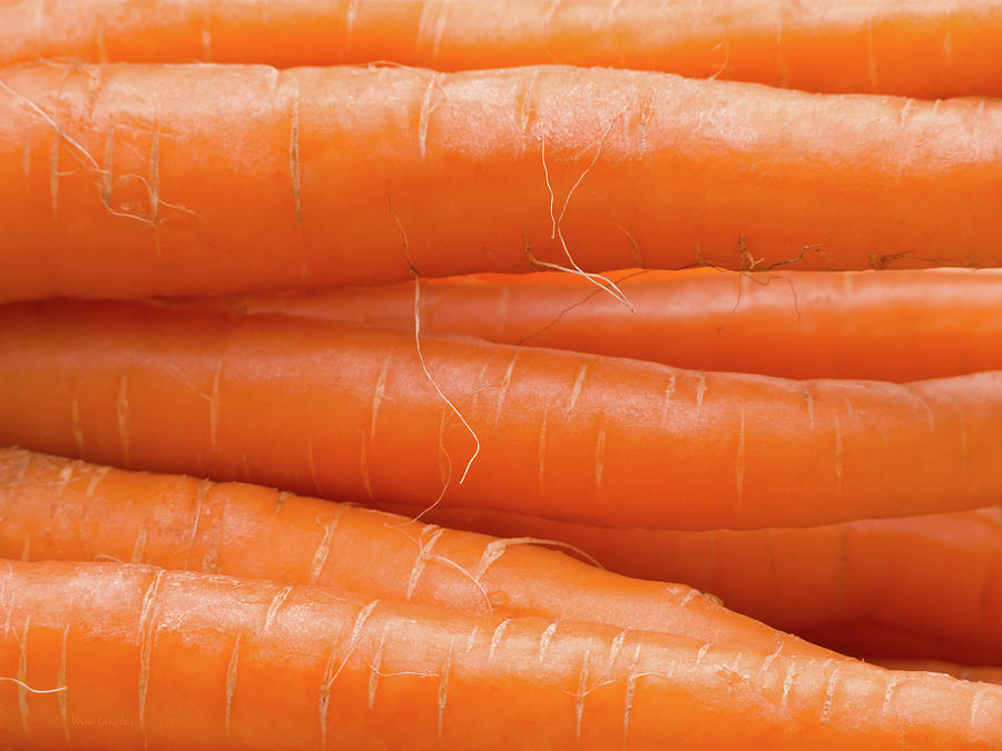 Carrots Photograph by Wim Lanclus