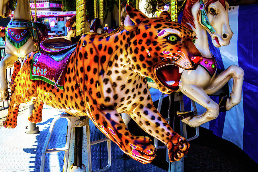 Carrousel Cheetah Photograph by Garry Gay