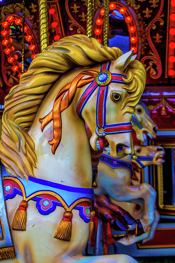Carrousel Dreams Photograph by Garry Gay