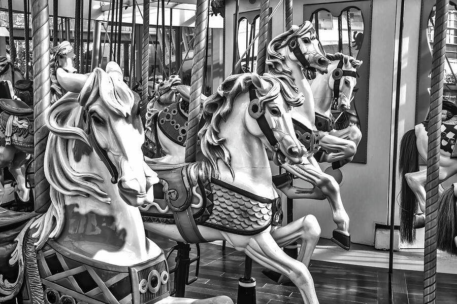 Carrousel Horses In Black And White Photograph by Garry Gay