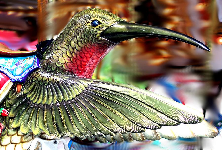 Hummingbird Photograph - Carrousel Hummingbird by Diane Merkle