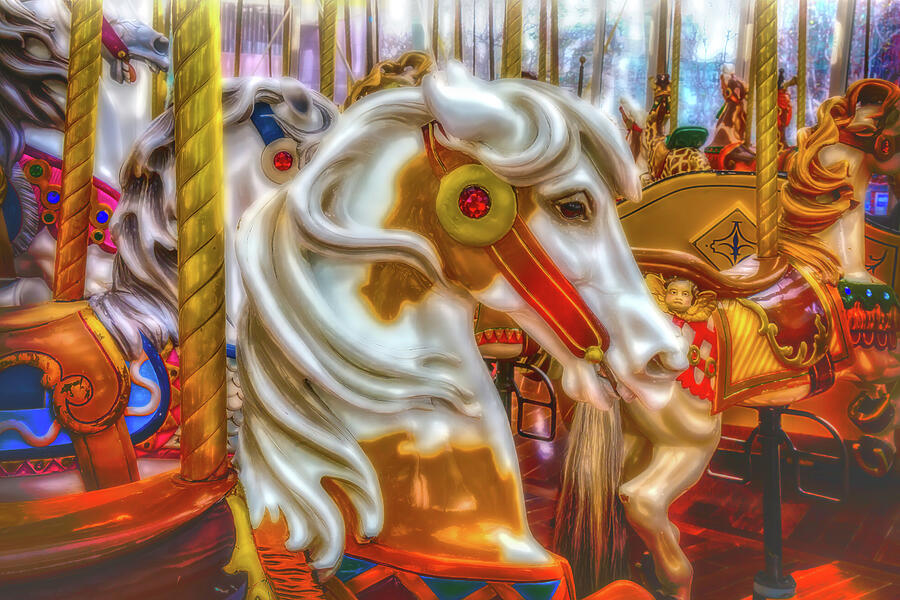 Carrousel Magic Photograph by Garry Gay
