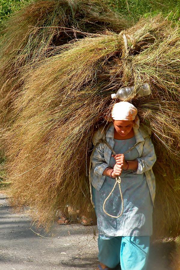 Carrying the Hay Photograph by Kim Bemis
