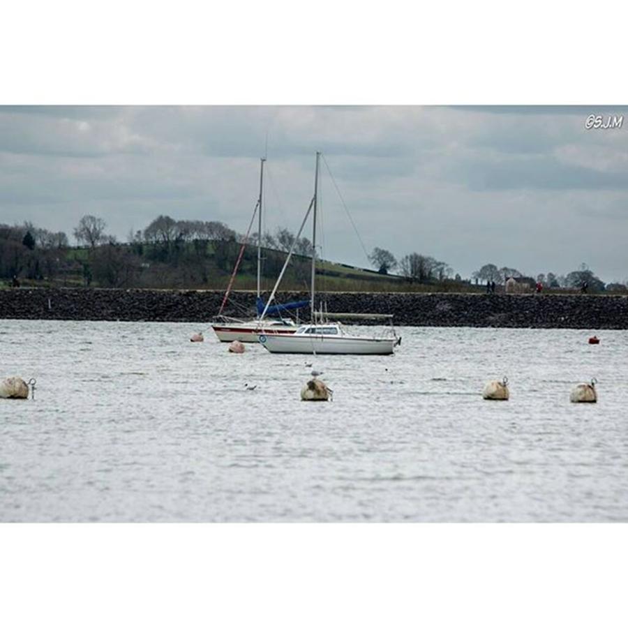 Nature Photograph - Carsington Water The Other Week by Stuart McHale