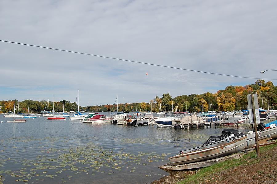 Carson Bay Docks Photograph by Leslie Thabes - Fine Art America