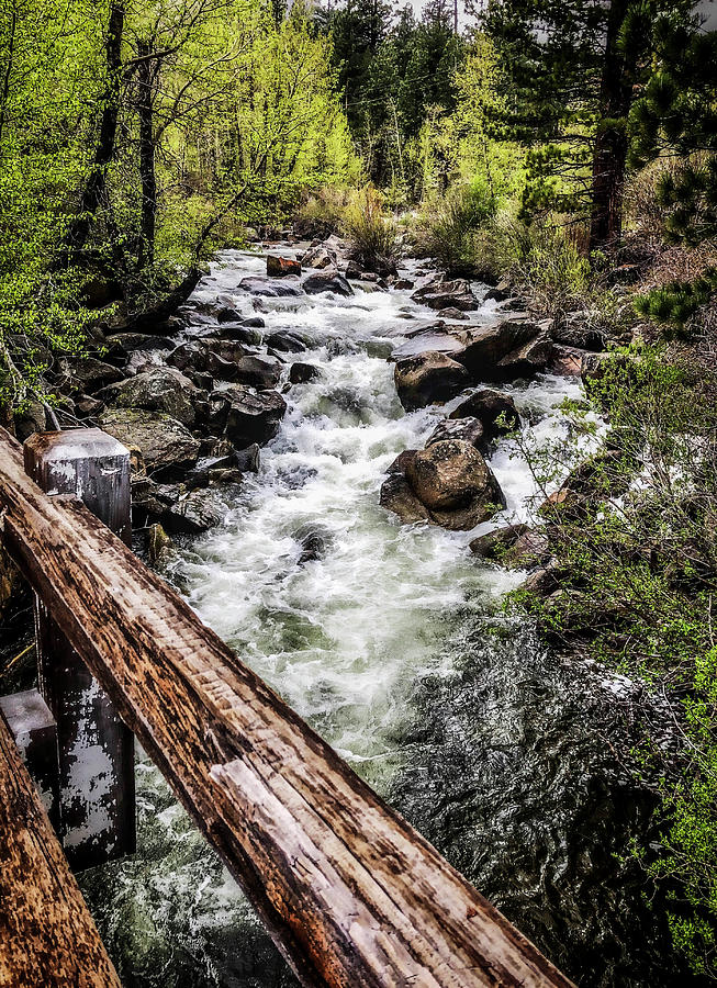 Carson River Photograph by Steph Gabler
