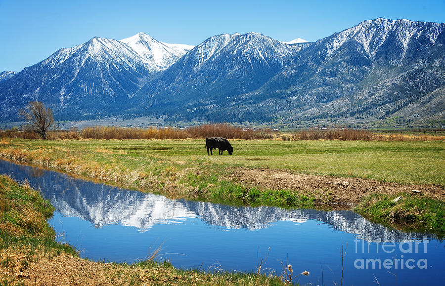 Carson Valley Reflection Photograph by Dianne Phelps