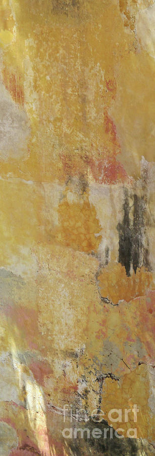 Abstract Photograph - Cartagena Abstract 1 by Randall Weidner