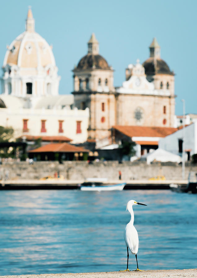 Cartagena Bird View Photograph