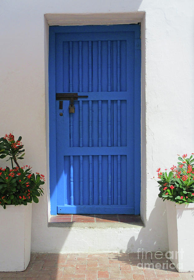 Cartagena Door 2 Photograph by Randall Weidner