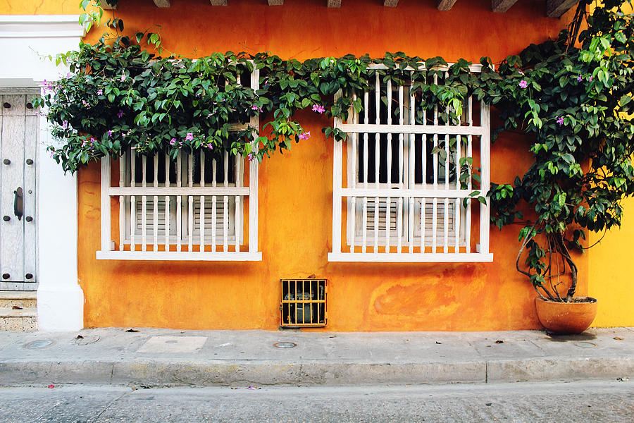 Nature Photograph - Cartagena street by Infinite Pixels