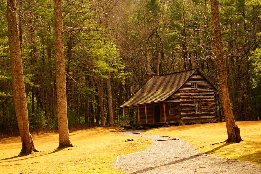 Carter Shields Cabin Photograph by Beth Collins