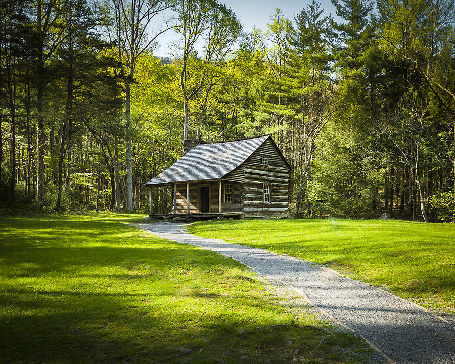 Carter Shields Cabin Photograph by Jack R Perry