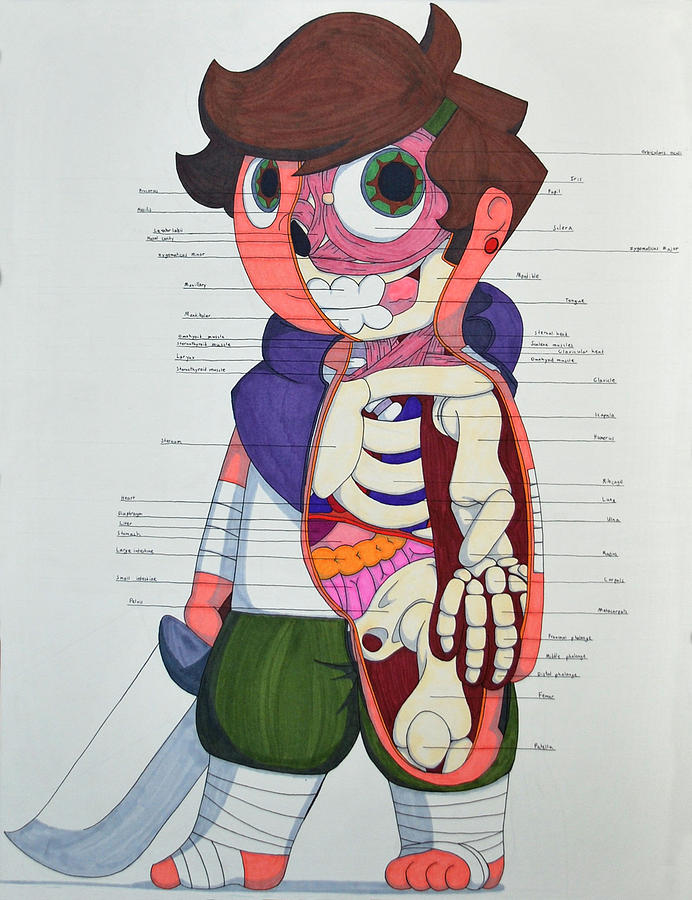 Cartoon Anatomy Drawing by Adrian Riccardi - Fine Art America