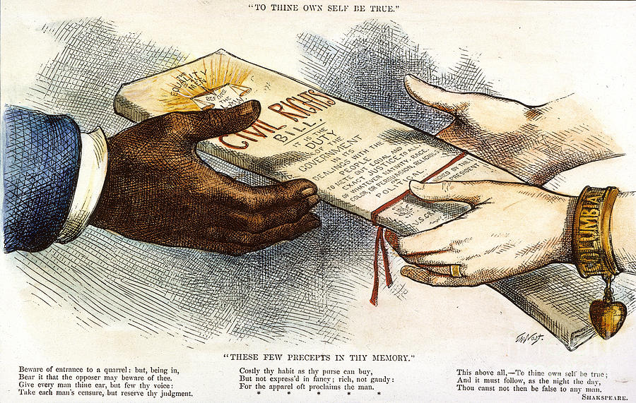 Cartoon: Civil Rights 1875 Photograph by Granger