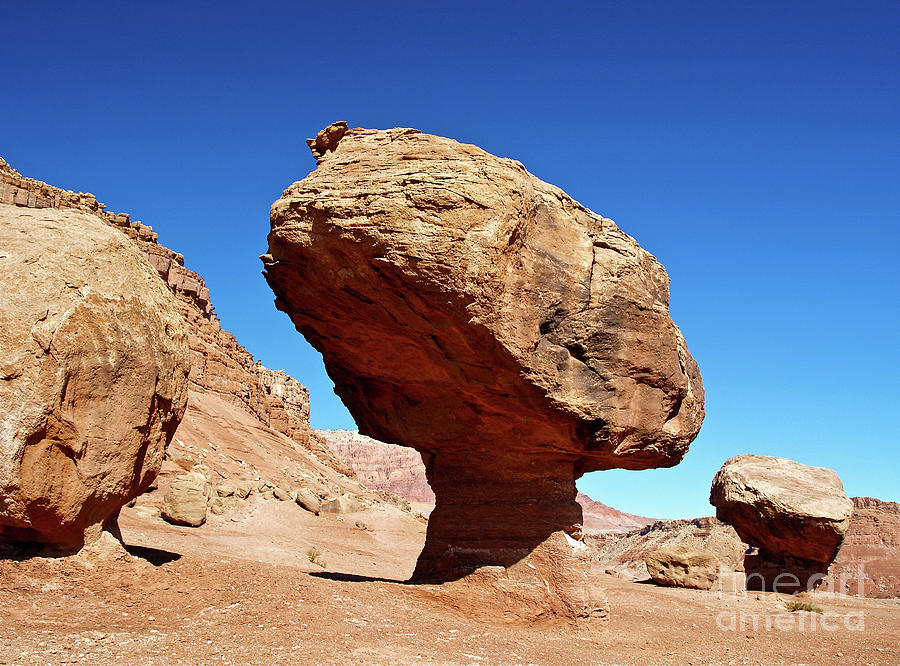 Nature Photograph - Cartoon Rocks at Marble Canyon by Alex Cassels