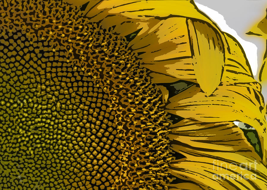 Cartoon Sunflower Painting by Janice Pariza